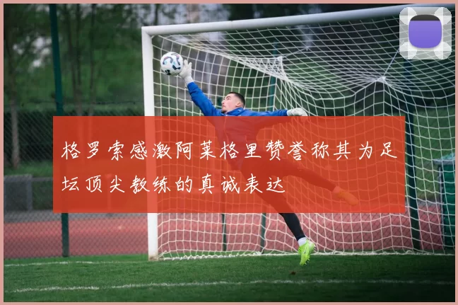 格罗索感激阿莱格里赞誉称其为足坛顶尖教练的真诚表达